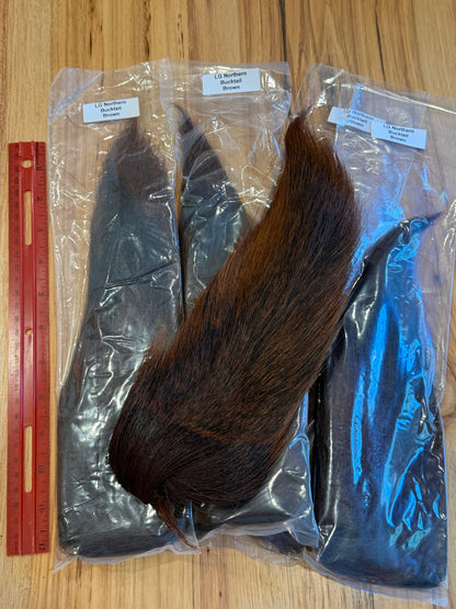 Large Northern Bucktail: Dyed Brown