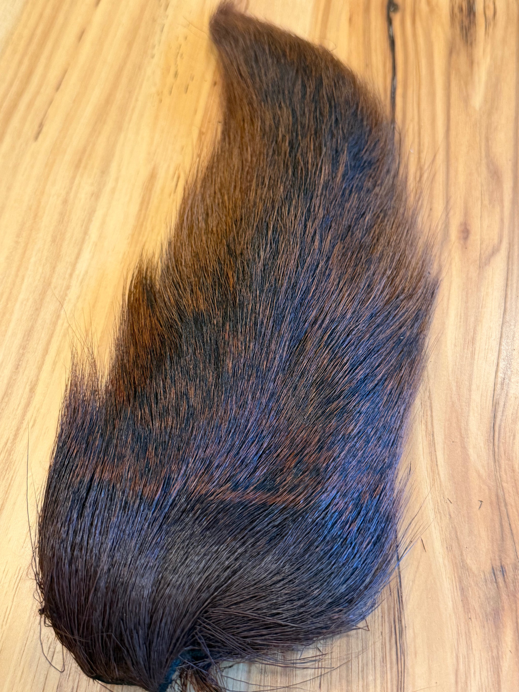 Large Northern Bucktail: Dyed Brown