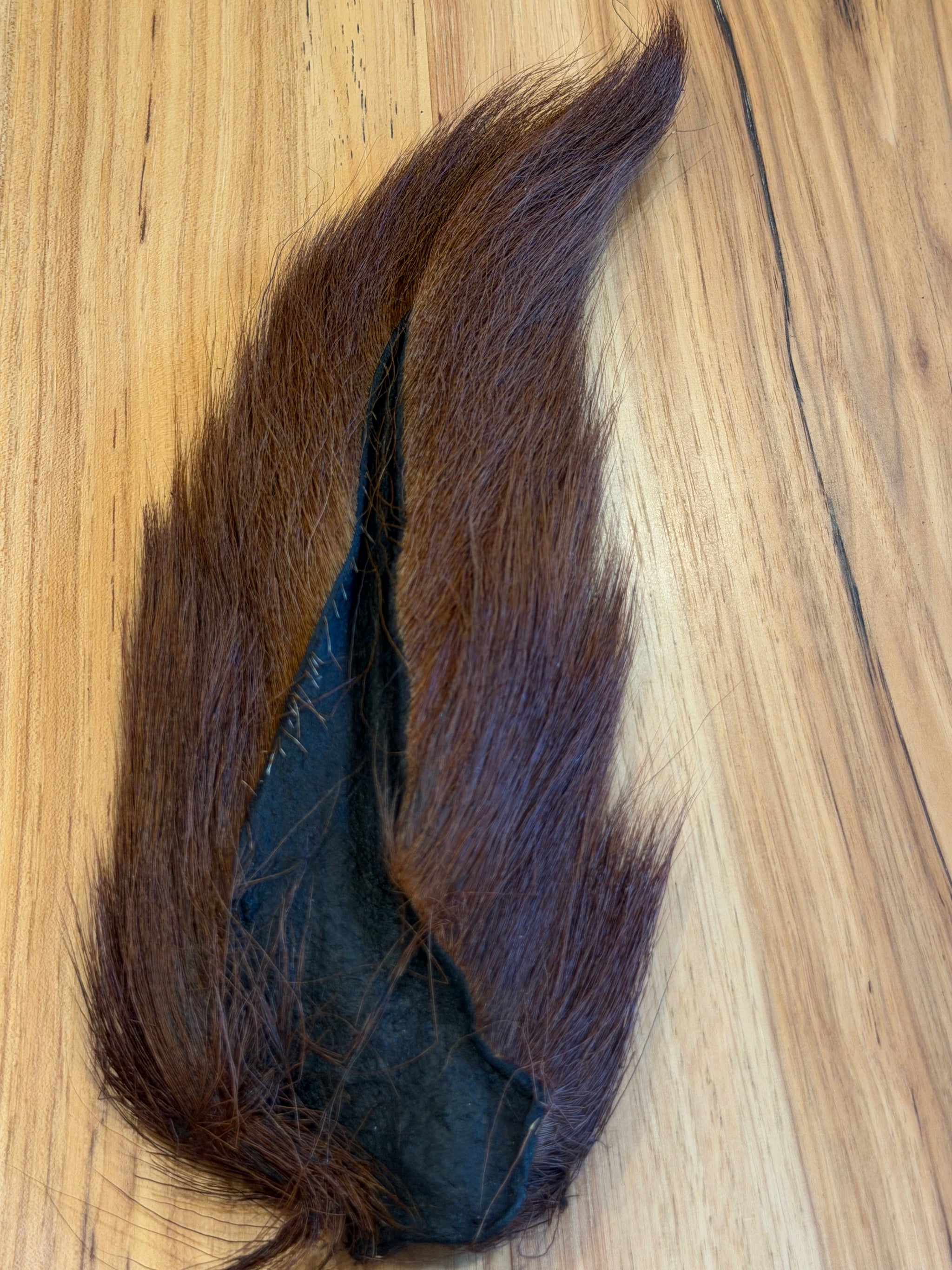 Large Northern Bucktail: Dyed Brown