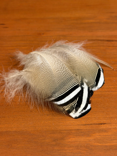 Spent Fly Fishing Barred Wood Duck