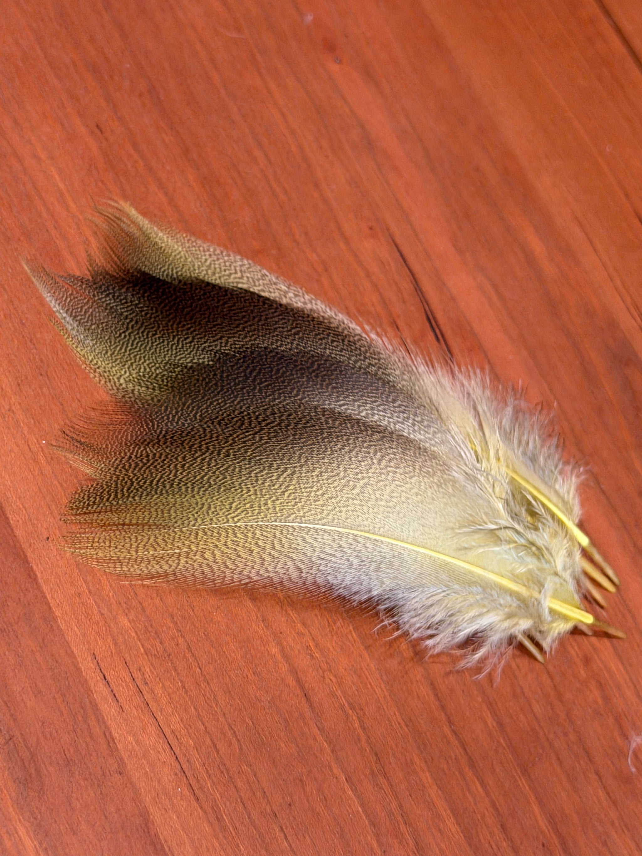 Spent Fly Fishing Bronze Mallard Flank