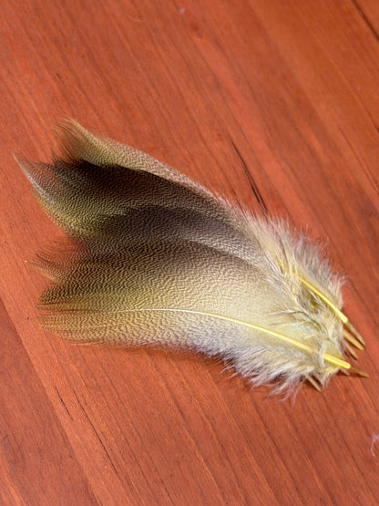 Spent Fly Fishing Bronze Mallard Flank