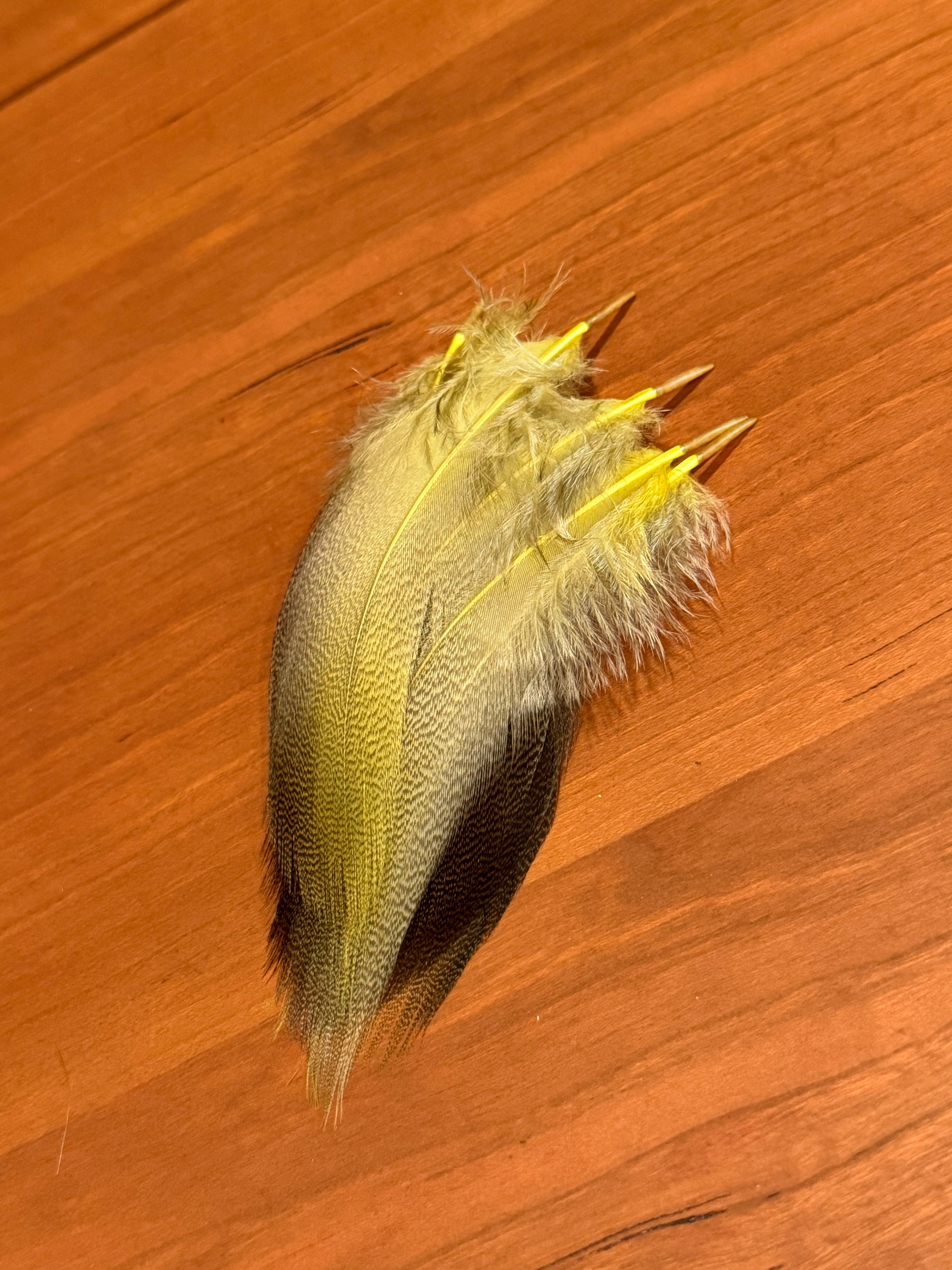 Spent Fly Fishing Bronze Mallard Flank