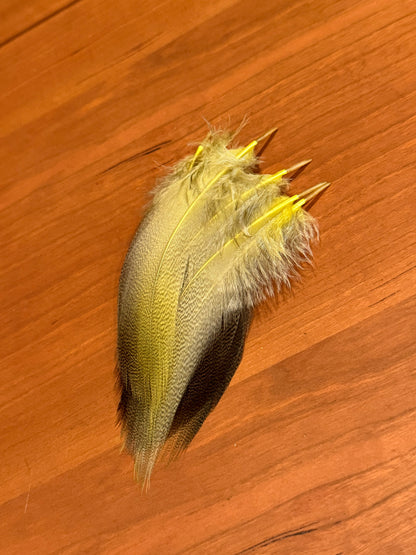 Spent Fly Fishing Bronze Mallard Flank