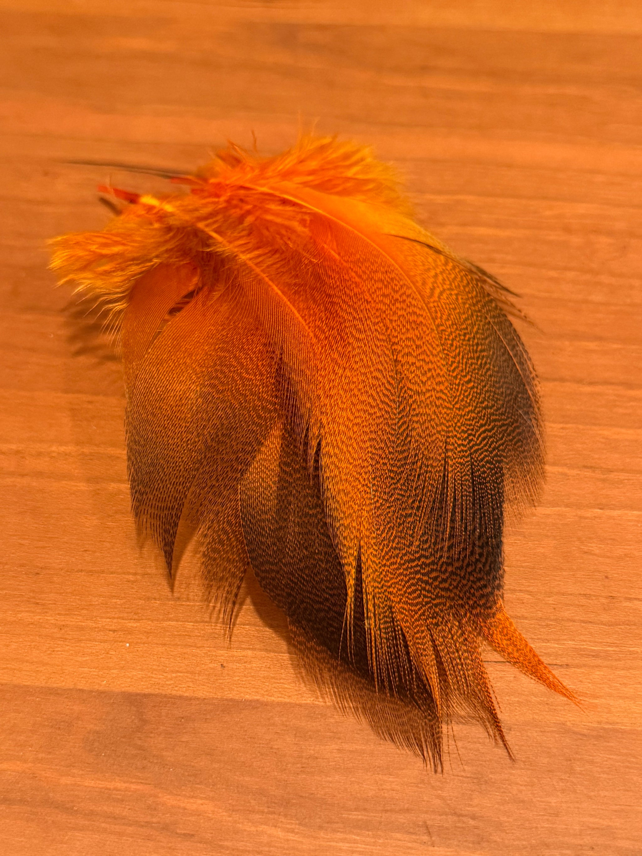 Spent Fly Fishing Bronze Mallard Flank