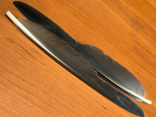 Spent Fly Fishing Canada Goose Biot Quills