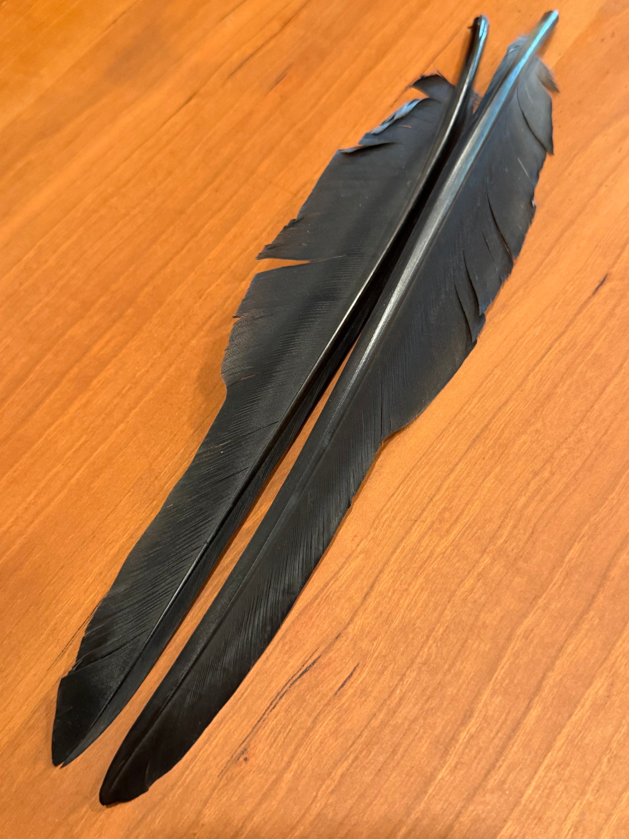 Spent Fly Fishing Canada Goose Biot Quills