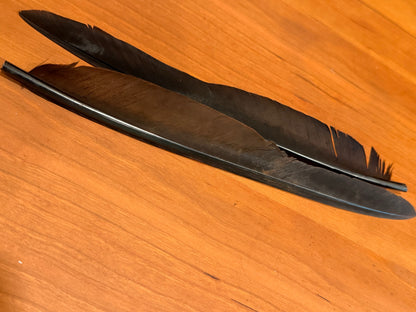 Spent Fly Fishing Canada Goose Biot Quills