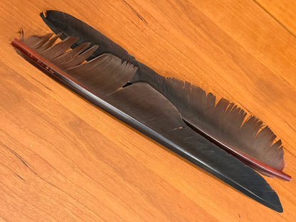 Spent Fly Fishing Canada Goose Biot Quills