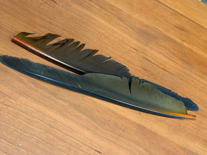 Spent Fly Fishing Canada Goose Biot Quills