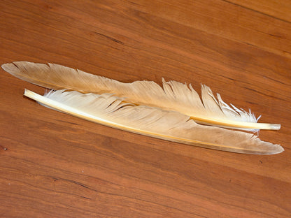 Spent Fly Fishing Canada Goose Biot Quills
