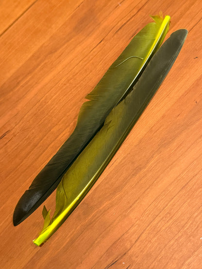 Spent Fly Fishing Canada Goose Biot Quills