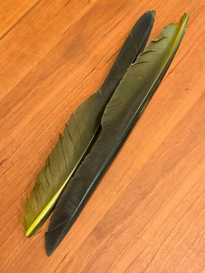 Spent Fly Fishing Canada Goose Biot Quills