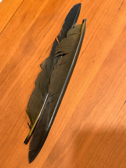 Spent Fly Fishing Canada Goose Biot Quills
