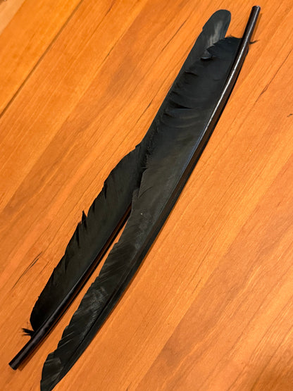 Spent Fly Fishing Canada Goose Biot Quills