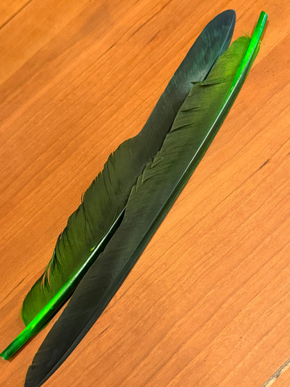 Spent Fly Fishing Canada Goose Biot Quills