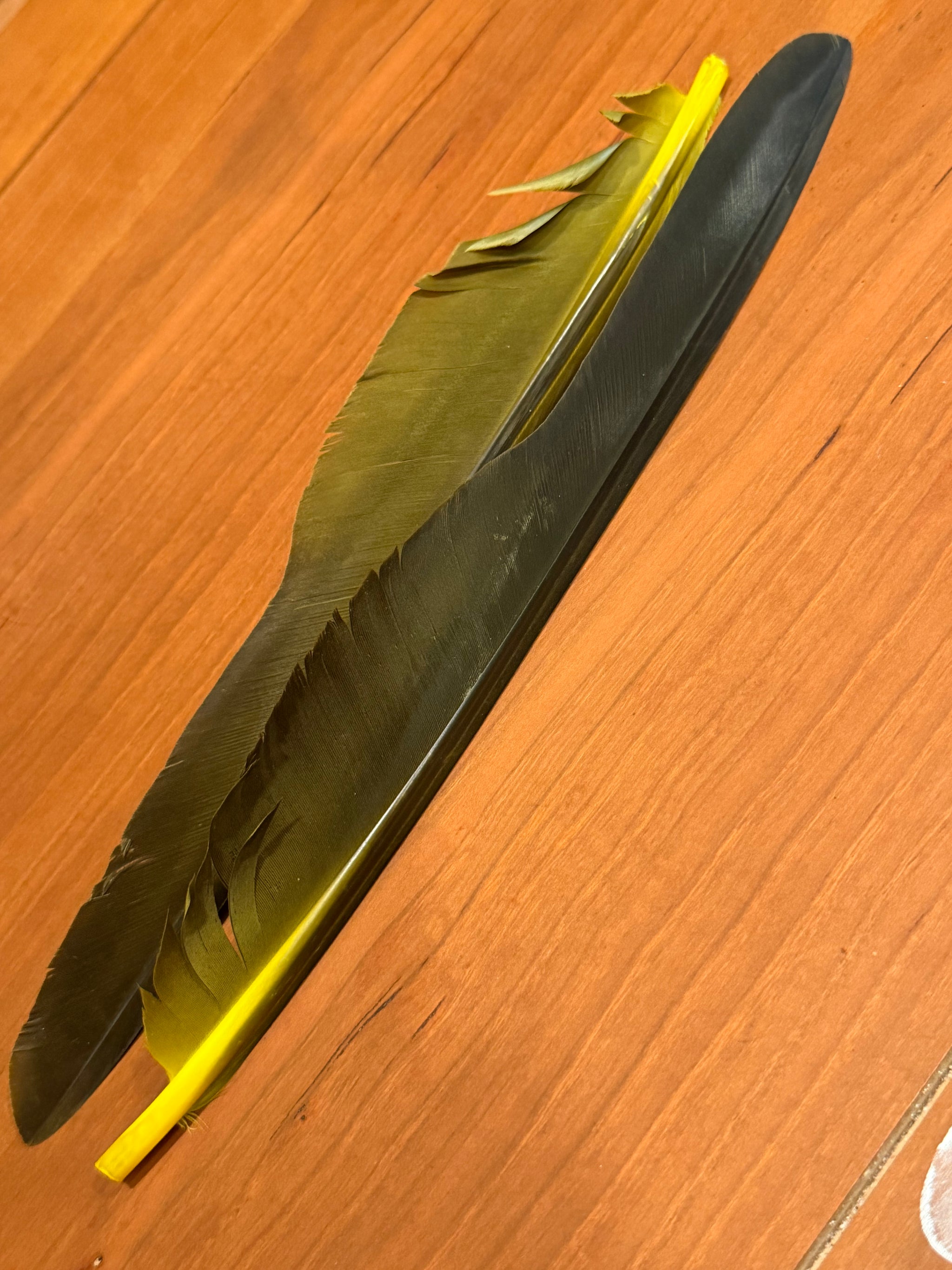 Spent Fly Fishing Canada Goose Biot Quills
