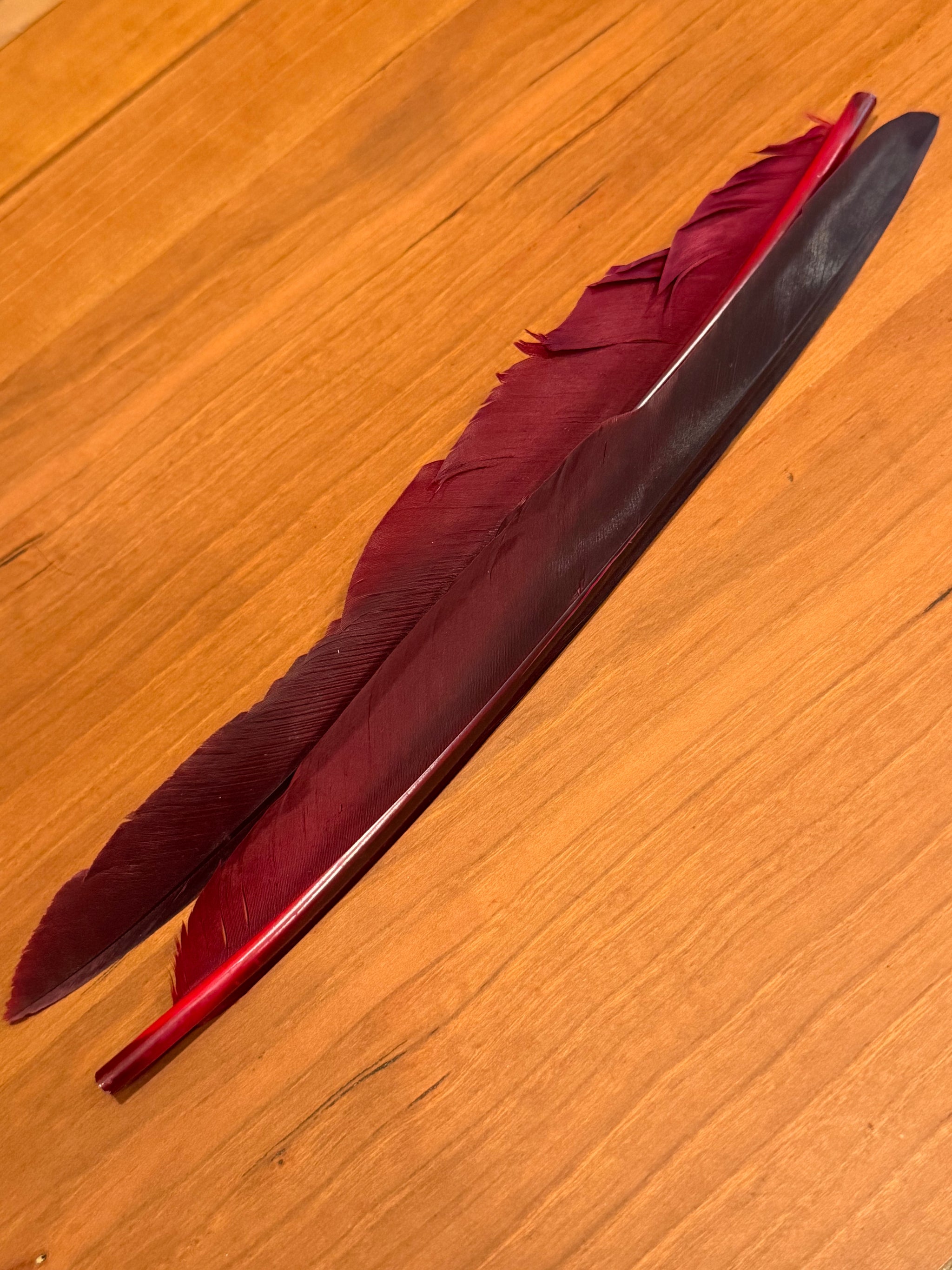 Spent Fly Fishing Canada Goose Biot Quills