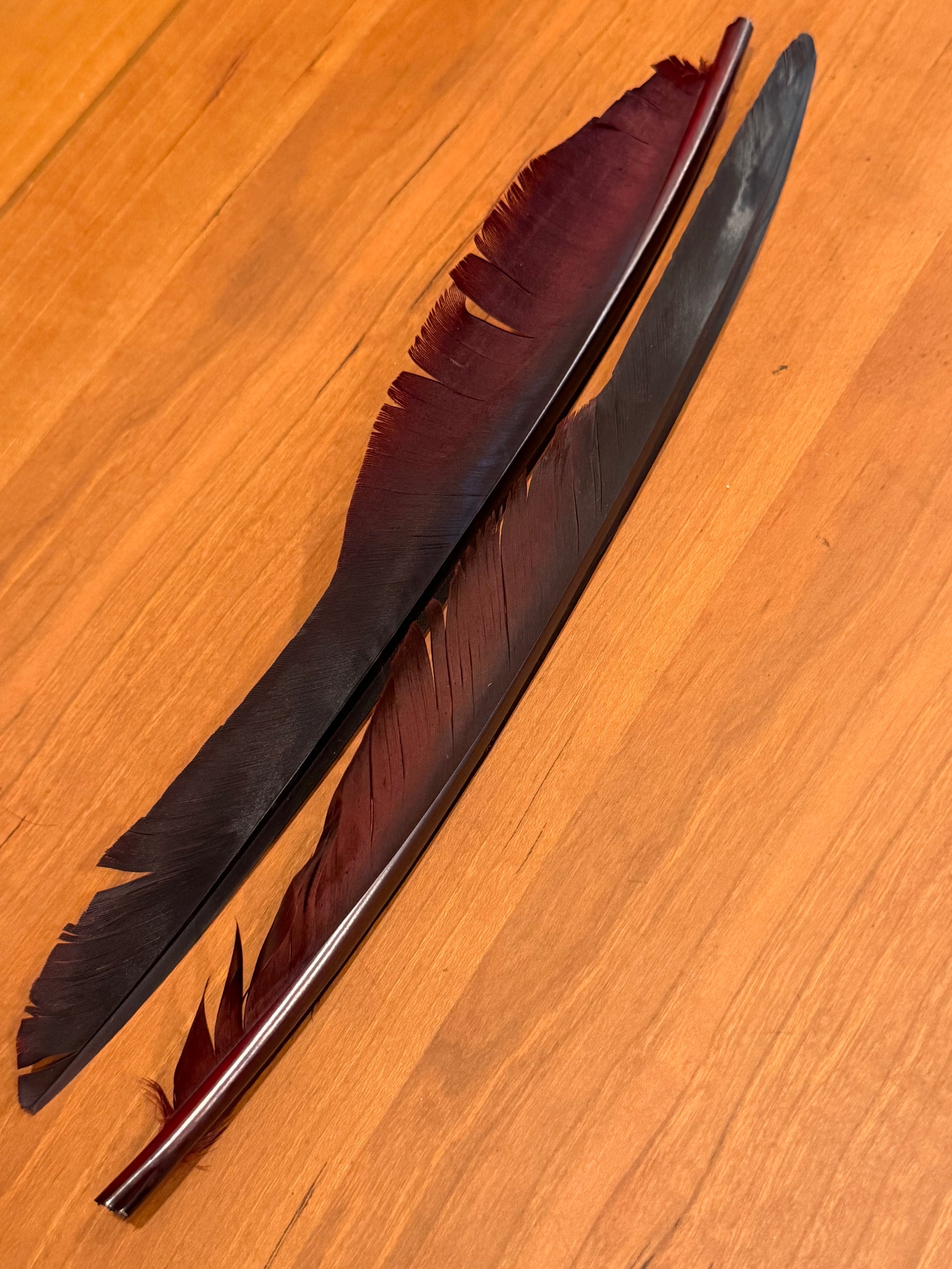 Spent Fly Fishing Canada Goose Biot Quills