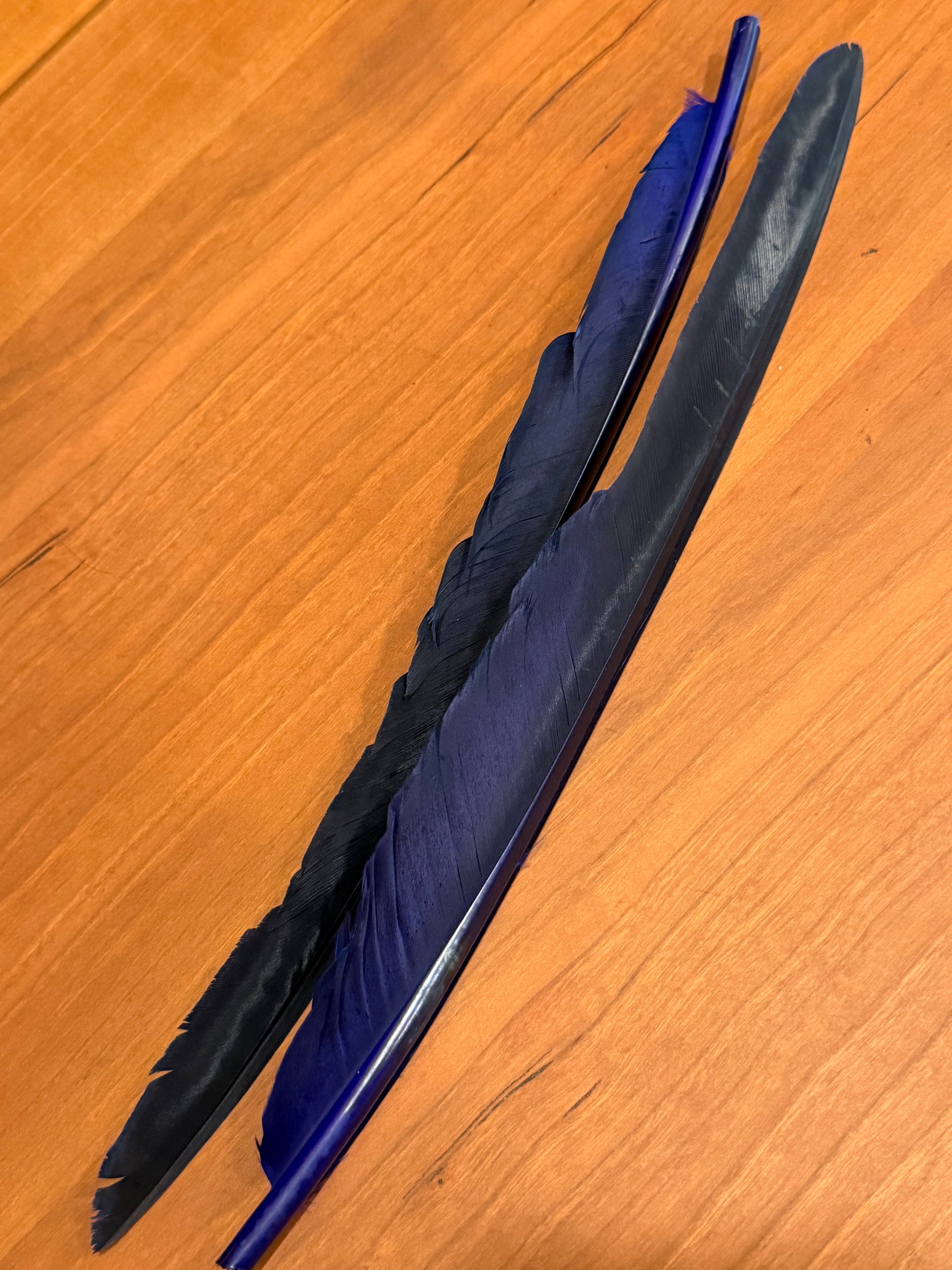 Spent Fly Fishing Canada Goose Biot Quills