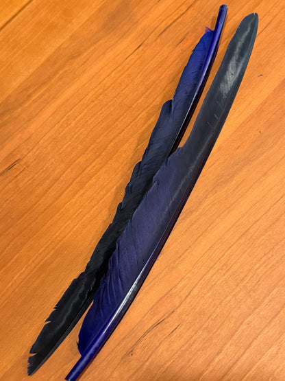 Spent Fly Fishing Canada Goose Biot Quills