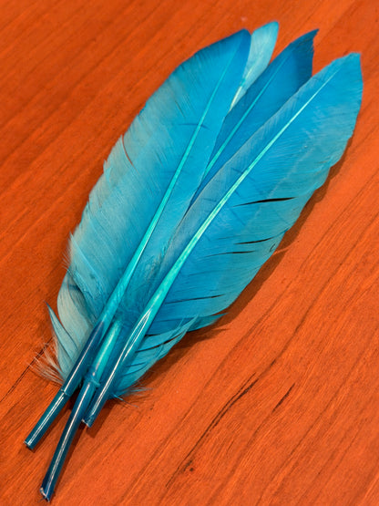 Spent Fly Fishing Duck Quills