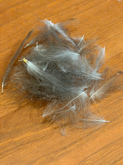Spent Fly Fishing Duck CDC