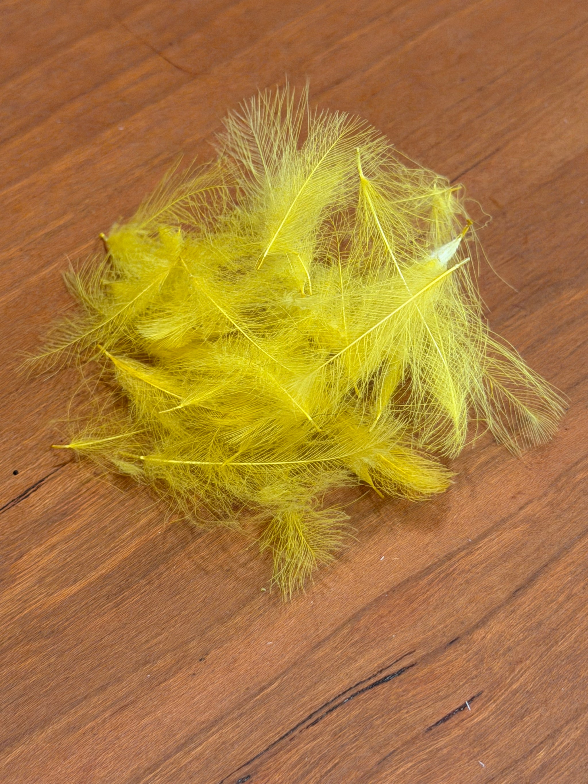Spent Fly Fishing Duck CDC