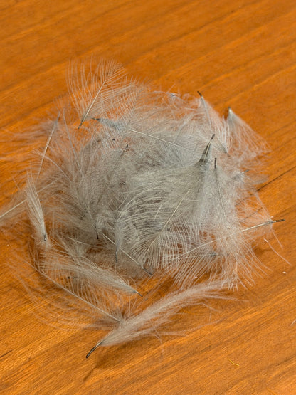 Spent Fly Fishing Duck CDC