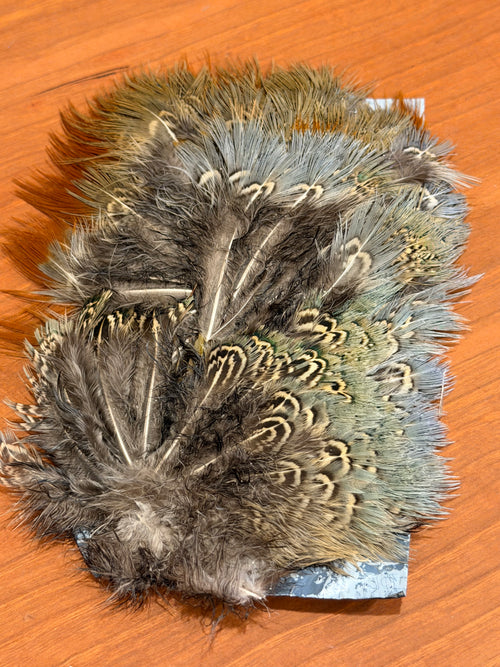 Spent Fly Fishing Pheasant Rump Patch