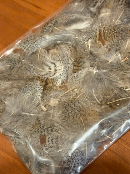 Spent Fly Fishing Hungarian Partridge Feathers