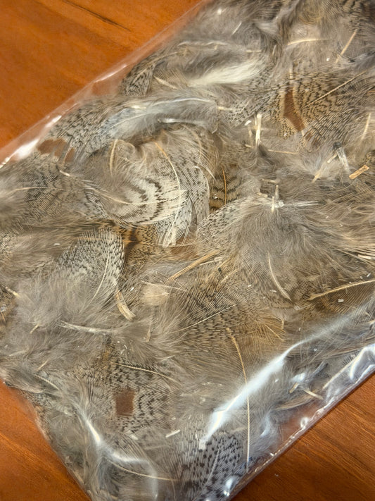 Spent Fly Fishing Hungarian Partridge Feathers