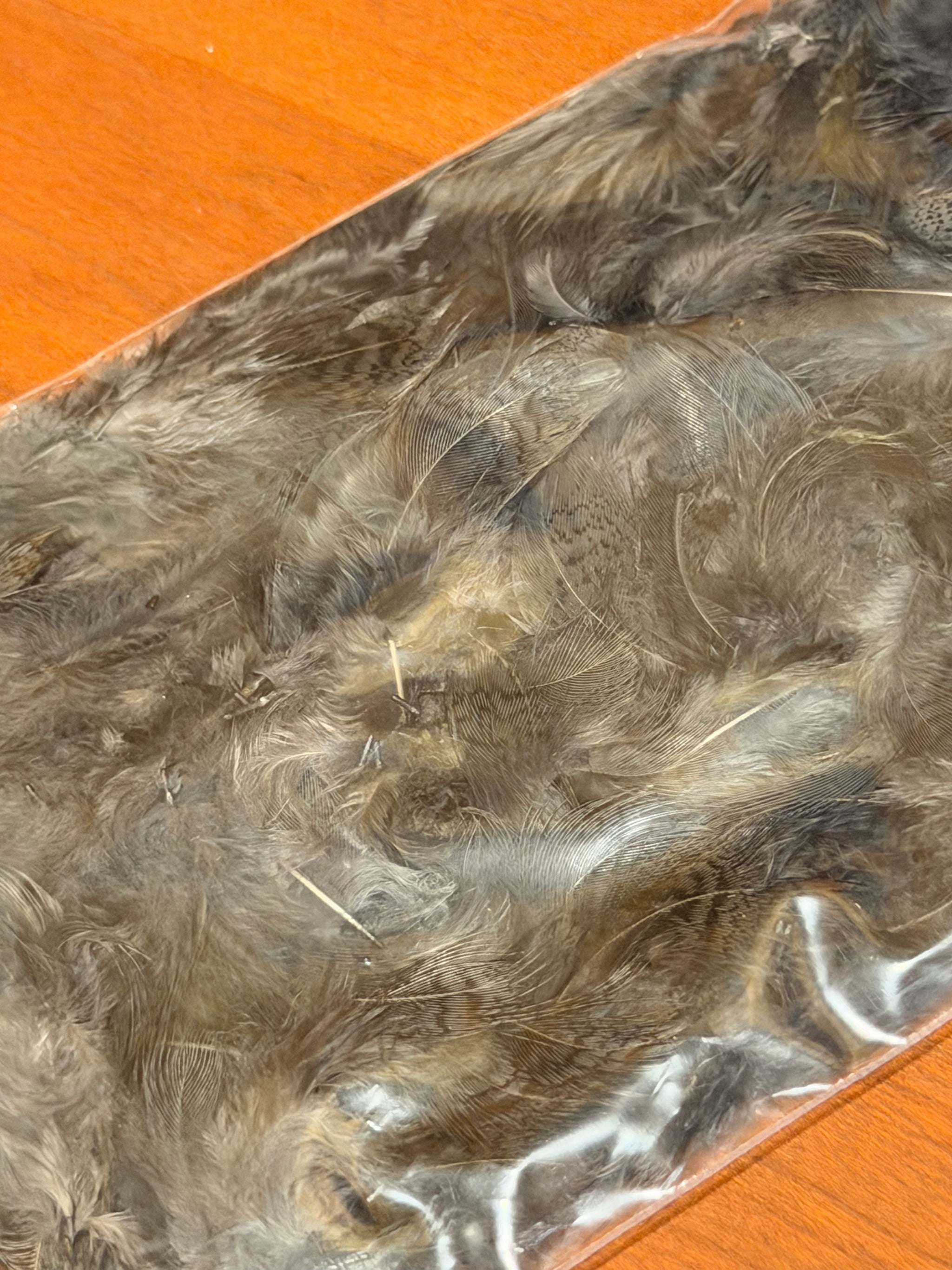 Spent Fly Fishing Hungarian Partridge Feathers