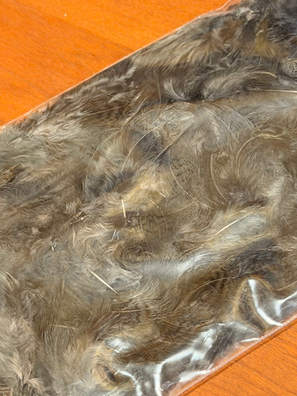 Spent Fly Fishing Hungarian Partridge Feathers