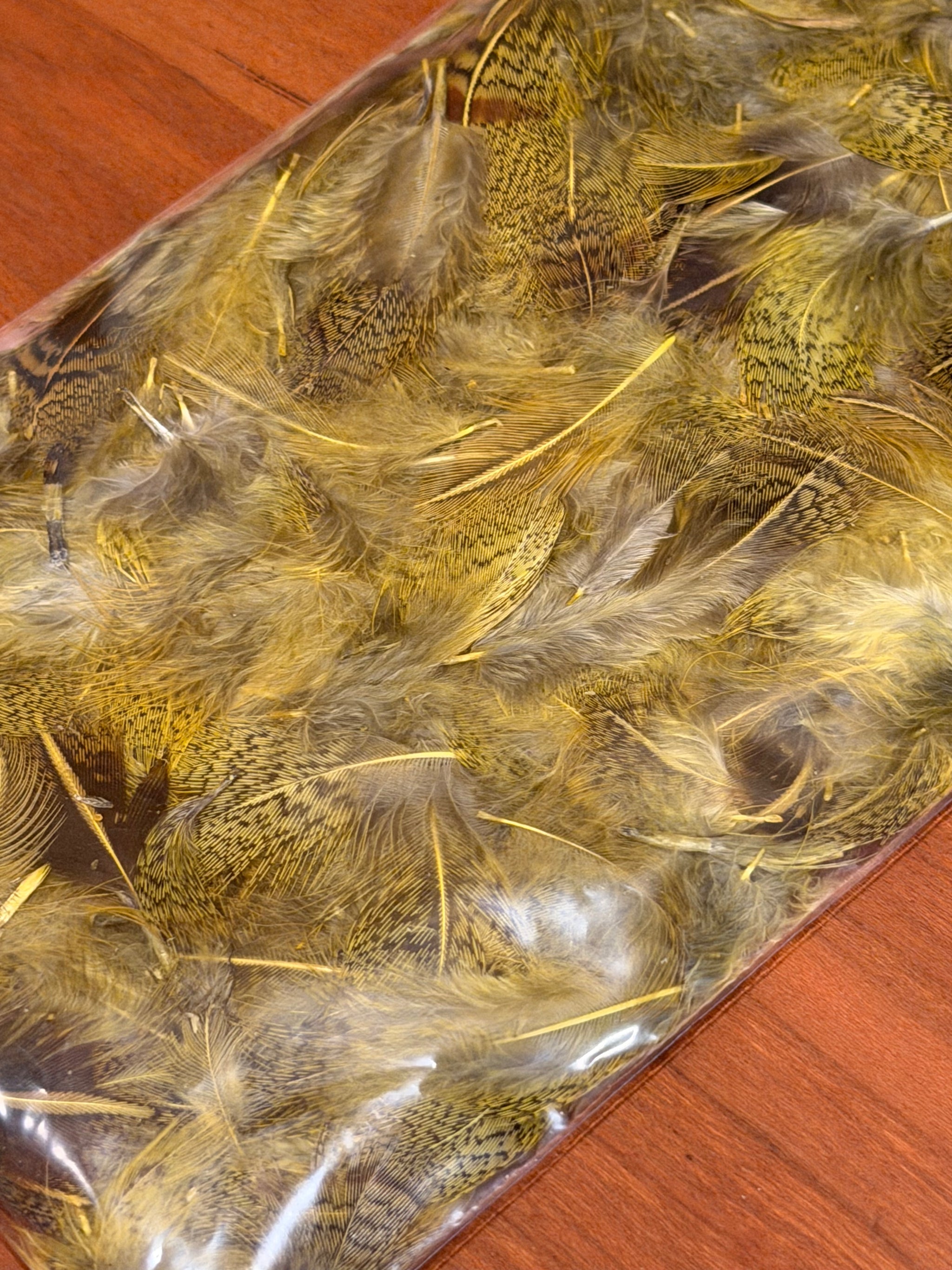 Spent Fly Fishing Hungarian Partridge Feathers