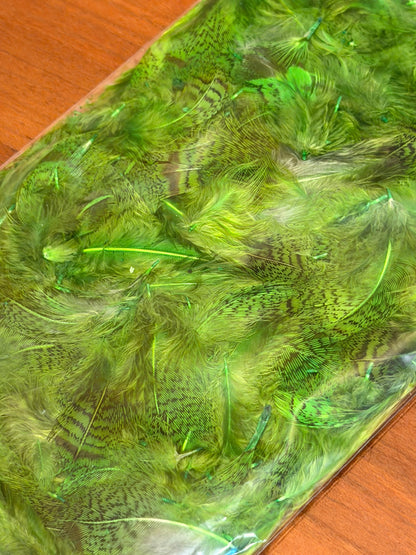 Spent Fly Fishing Hungarian Partridge Feathers