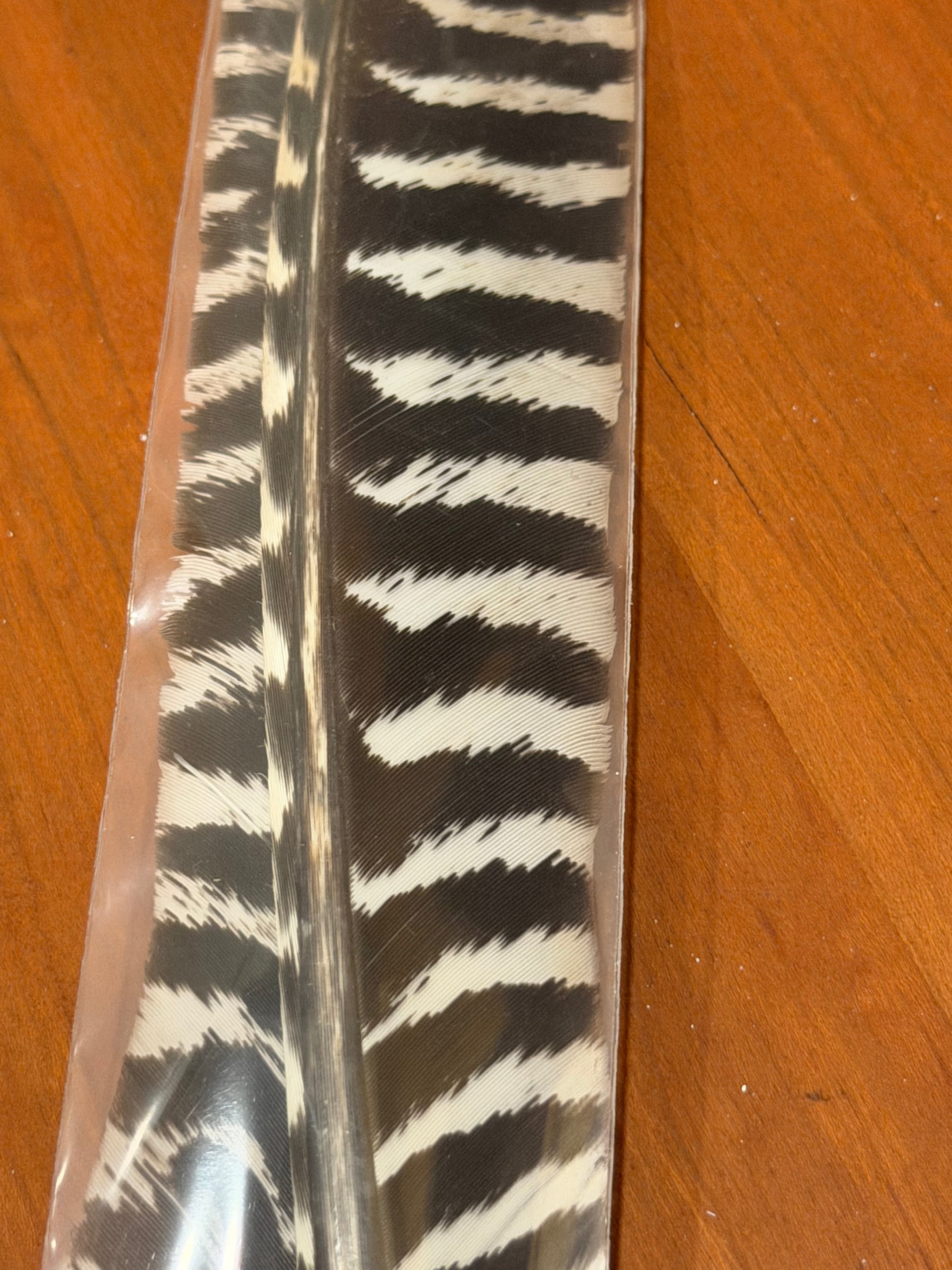 Spent Fly Fishing Barred Turkey Biot Quills