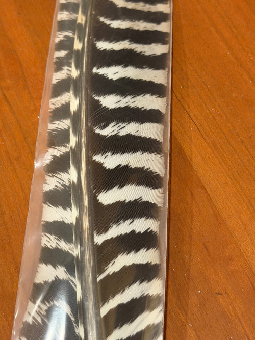 Spent Fly Fishing Barred Turkey Biot Quills