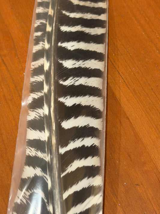 Spent Fly Fishing Barred Turkey Biot Quills