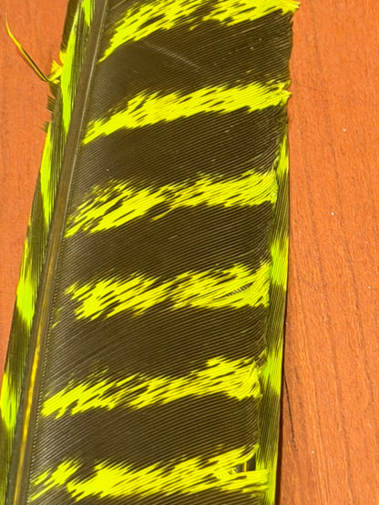 Spent Fly Fishing Barred Turkey Biot Quills