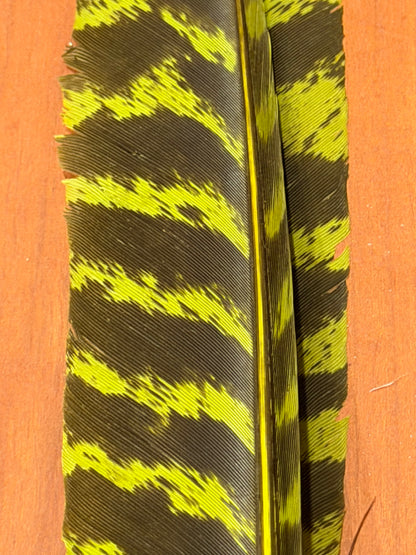 Spent Fly Fishing Barred Turkey Biot Quills