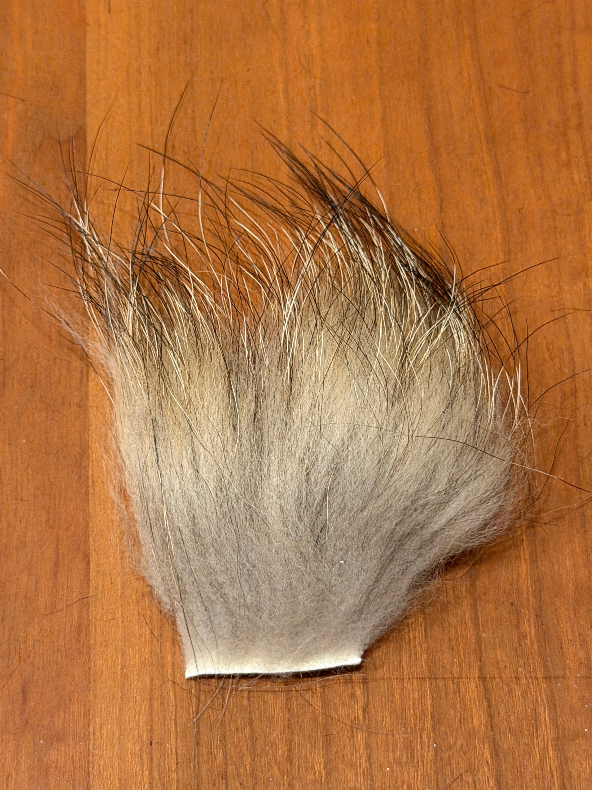 Spent Fly Fishing Finn Raccoon