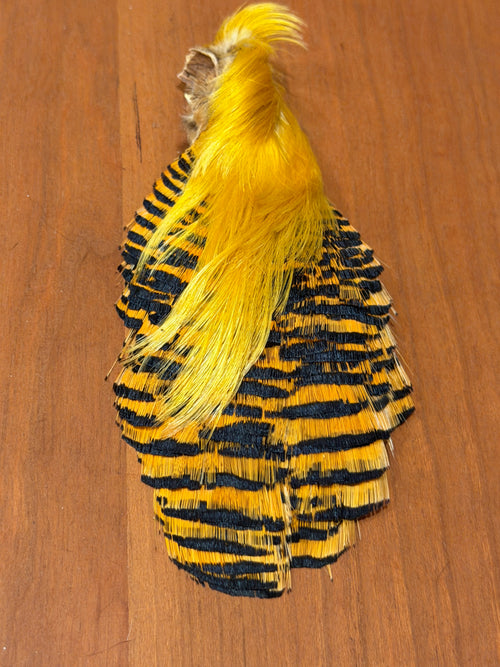 Spent Fly Fishing Golden Pheasant Complete Head