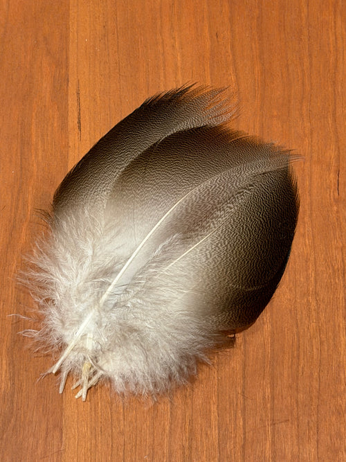 Spent Fly Fishing Bronze Mallard: Select Pairs