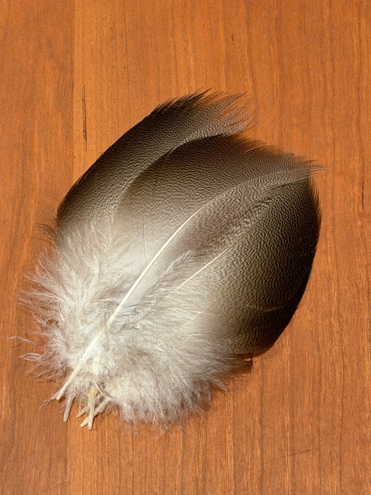 Spent Fly Fishing Bronze Mallard: Select Pairs
