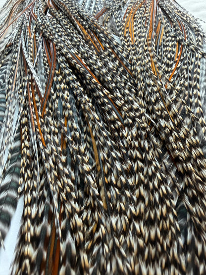 Whiting Hebert Bronze Rooster Saddle Cree 405-SH-E-L