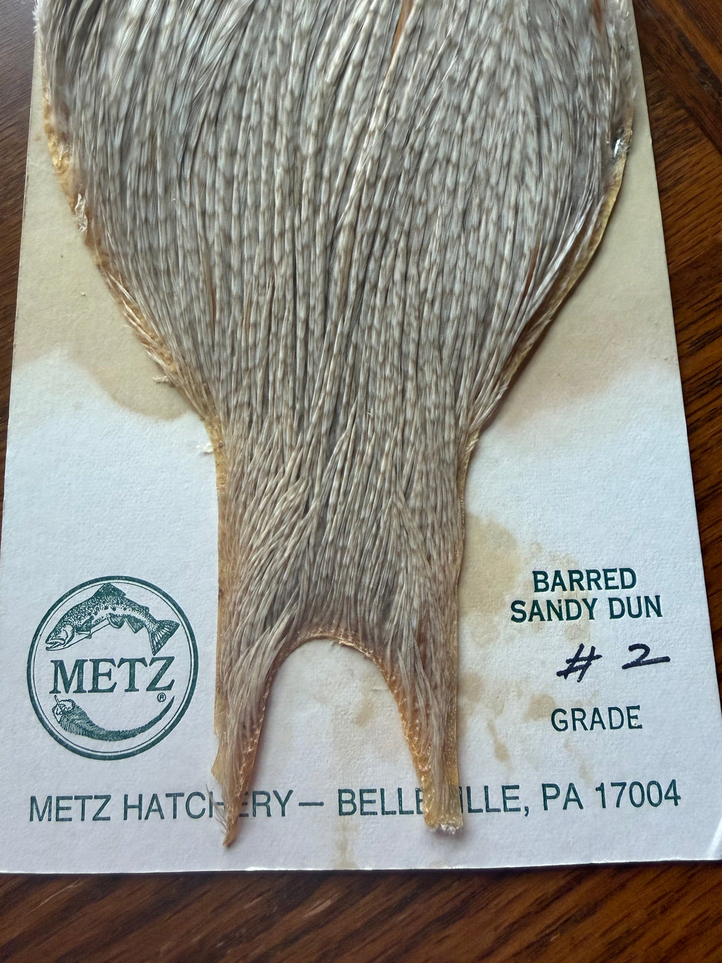 Metz Grade #2 Cape Barred Sandy Dun 413-SH-E-L