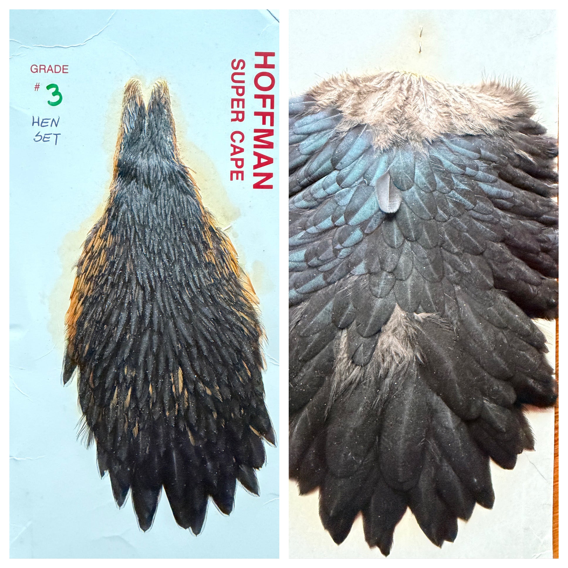 Hoffman – BLUE HALO FLY COMPANY