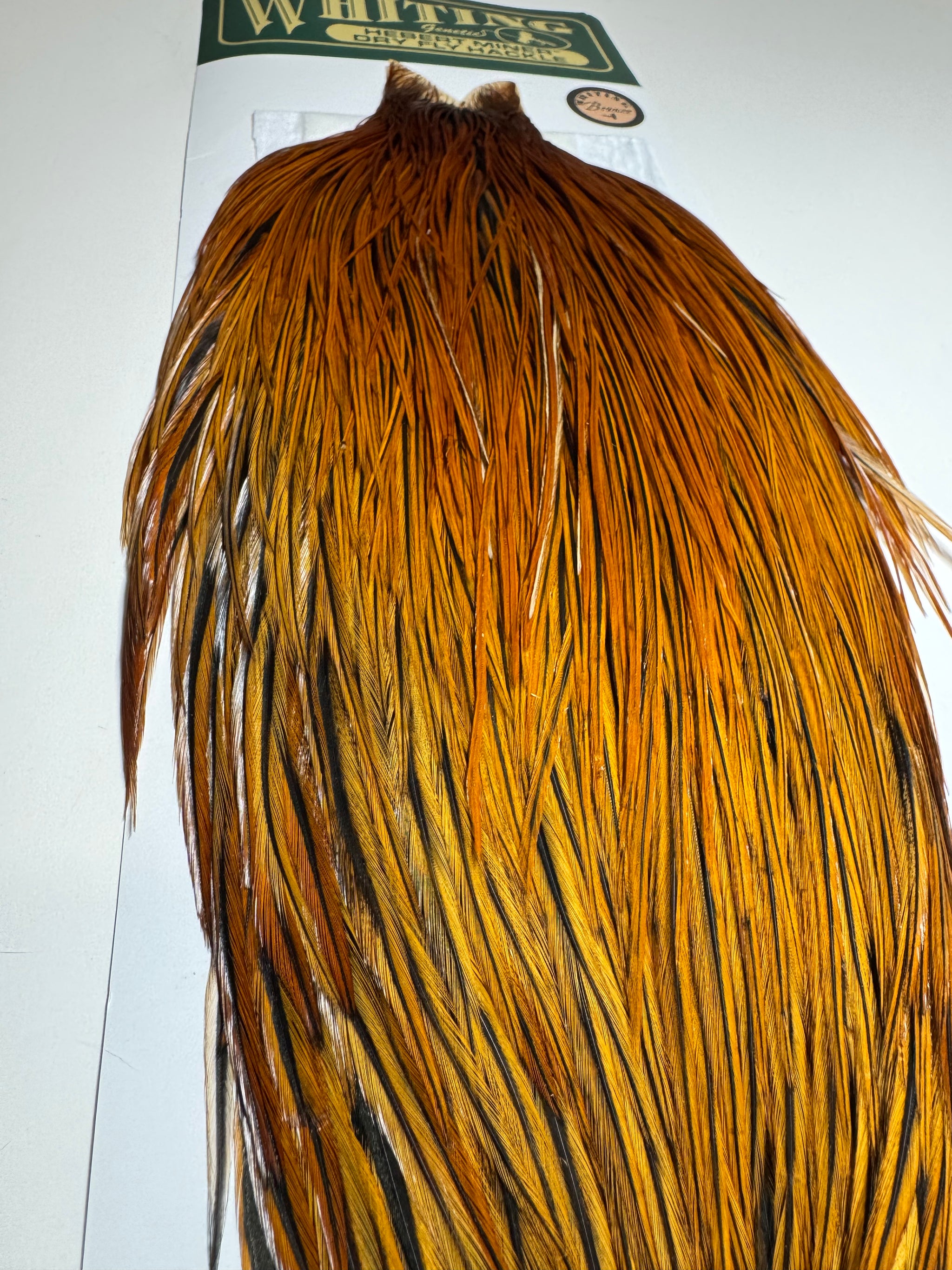 Whiting Farms Hebert Miner Bronze Cape: Light Brown SH009