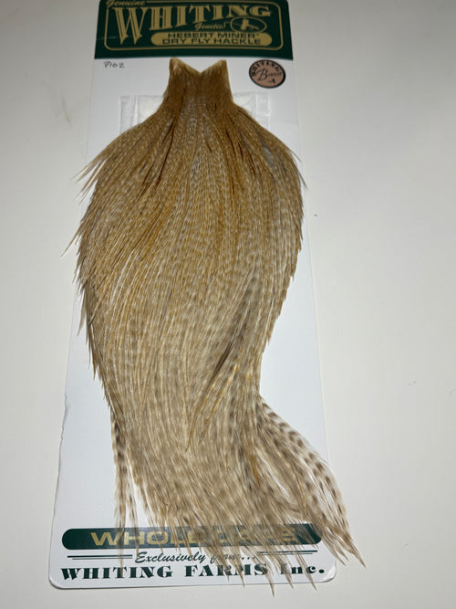 Whiting Farms Hebert Miner Bronze Cape: Unique Variant- Close to Barred Ginger Dun SH013